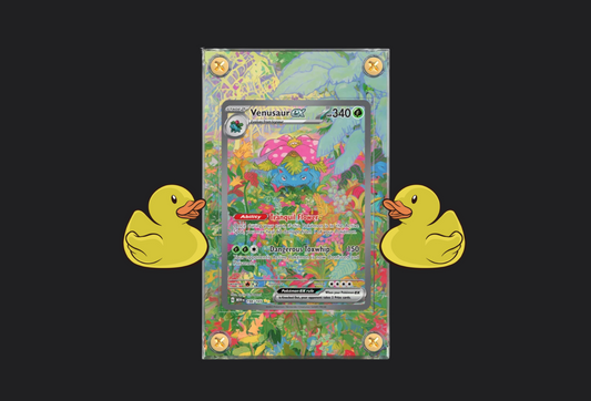 *DUCK RACE* Venusaur ex #198 Pokemon Scarlet & Violet 151 + EXTENDED DISPLAY CASE